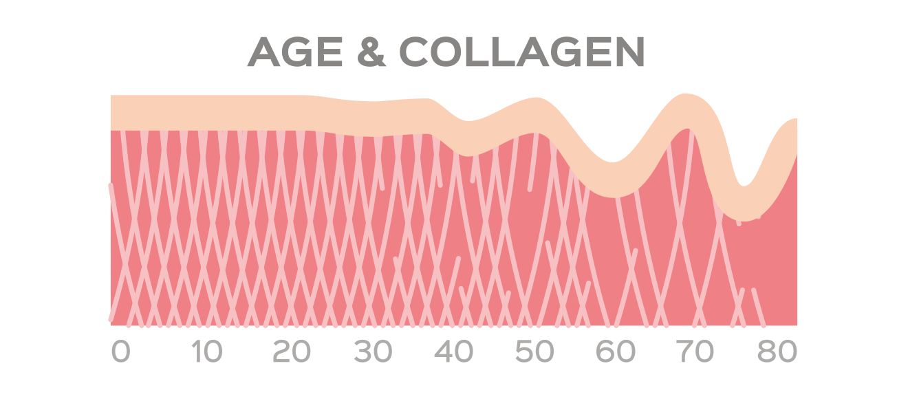 Collagen Supplements Work Do Collagen powder Supplements Work?